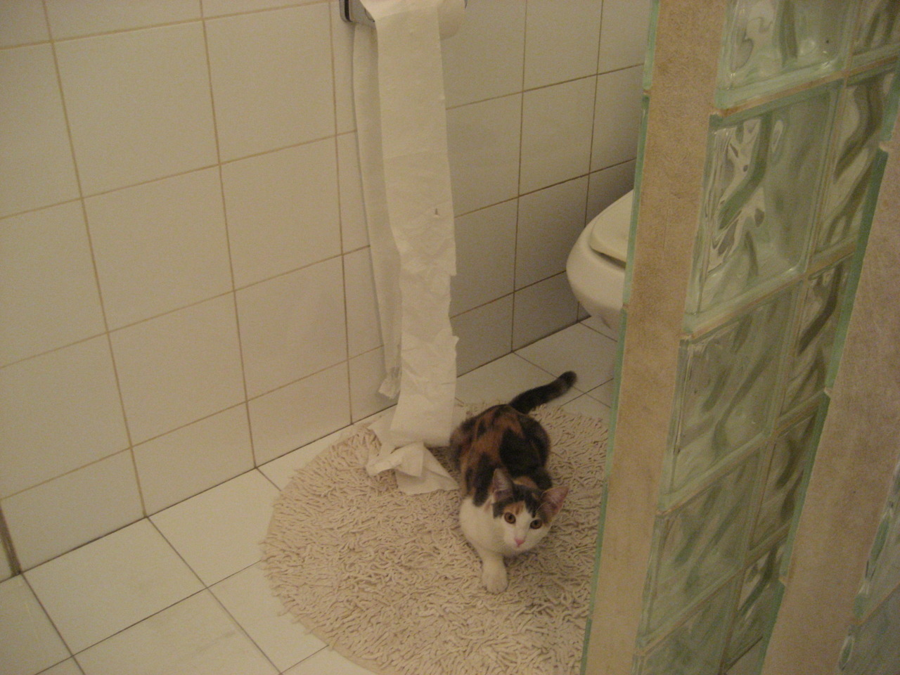 中国赛艇奥运阵容出炉,新老搭配力求突破,中国赛艇奥运冠军