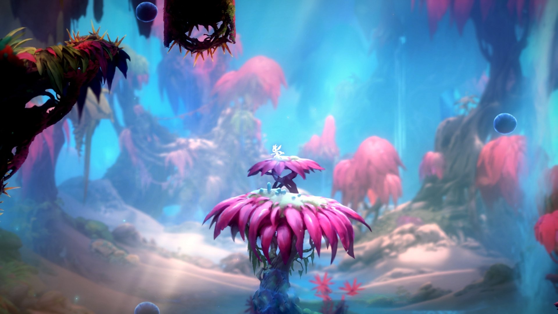 开云体育官方-哈兰德梅开二度，欧冠锋线新宠闪耀，德甲 哈兰德