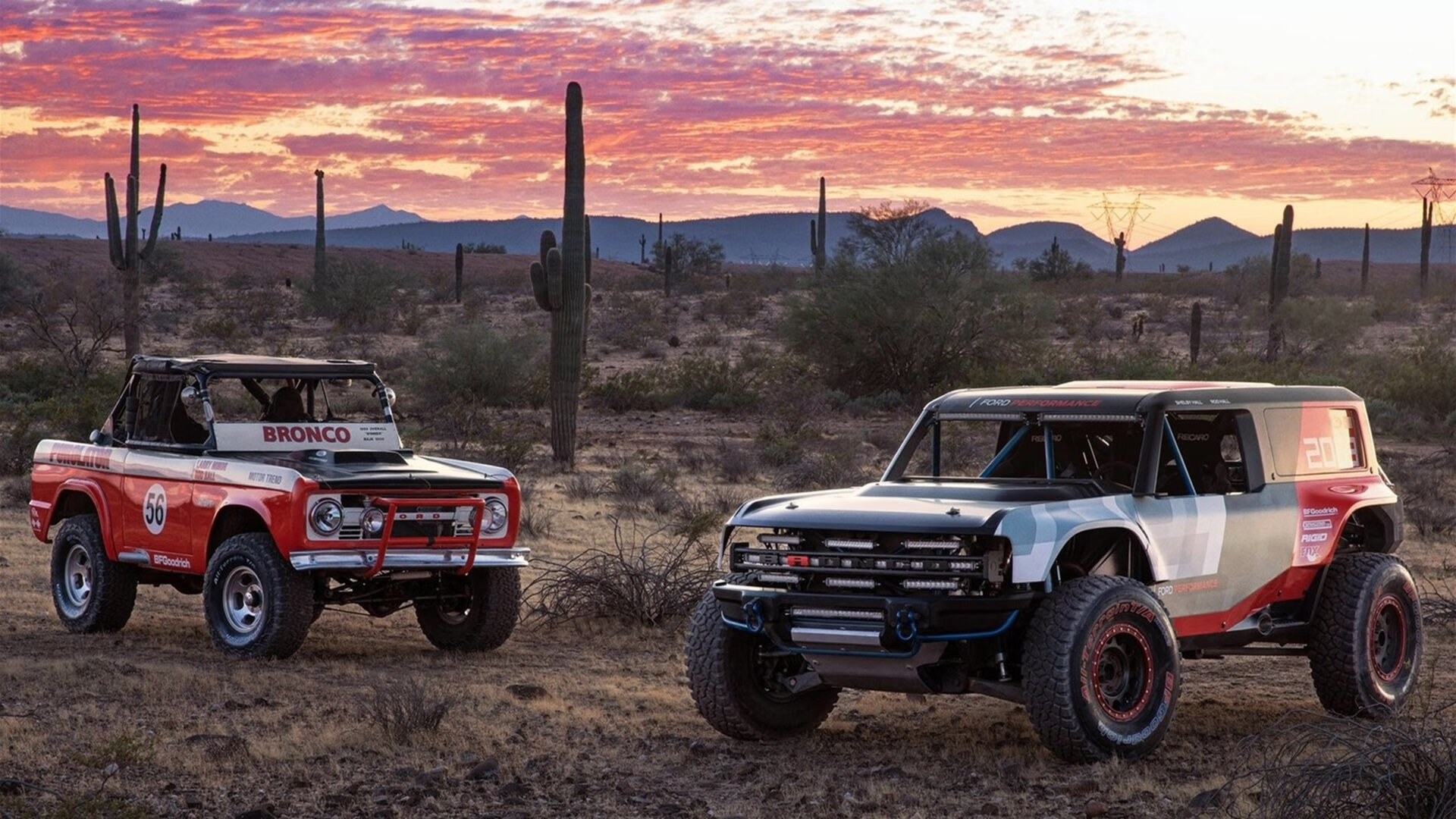开云官网在线-斯图加特新帅携队逆袭，战绩提升，斯图加特图片